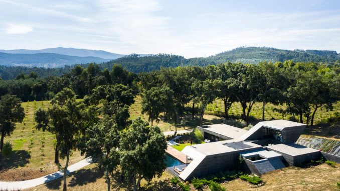 Cork Oak House 2