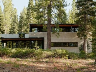 Лесной дом из бетона у озера в США