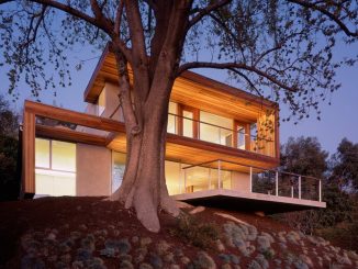 Дом у дерева в Лос-Анжелесе