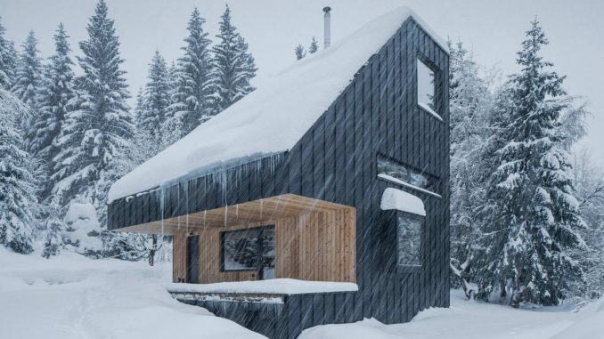 The mountain chalet in Ore mountains 4 Шале в лесном окружении в оттенках серого