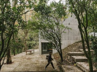 Простой бетонный дом в португальском лесу