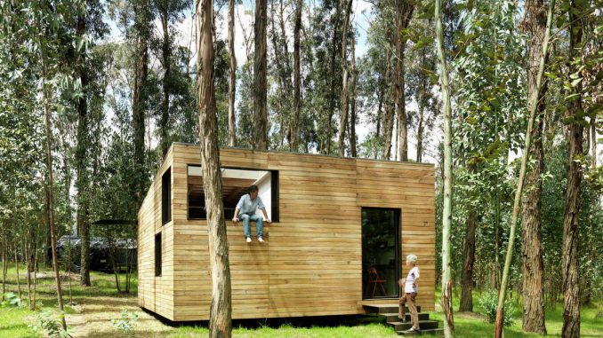 Экспериментальный домик с деревом в Эквадоре