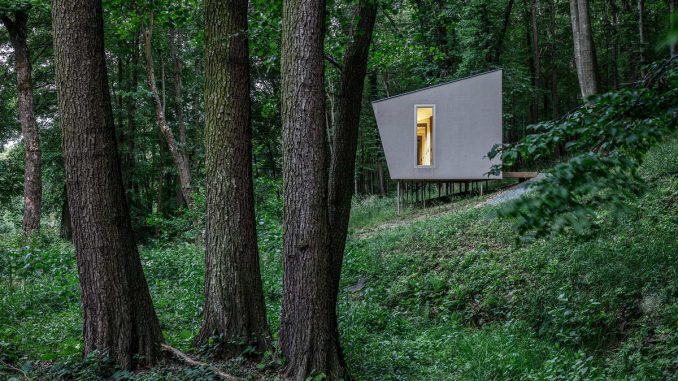 Cabin Moss 10