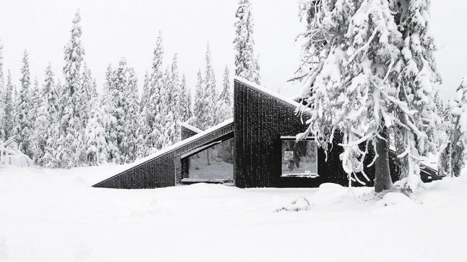Cabin Vindheim 1