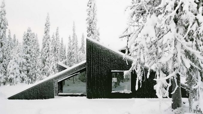 Cabin Vindheim 2 Лесная дача площадью 55 м2 в Норвегии