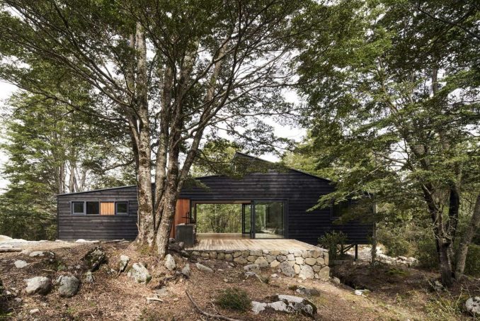 Деревянный лесной дом в Чили