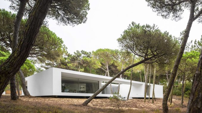 Residence in Colares 1