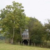 Маленький домик и дерева для отдыха в Англии