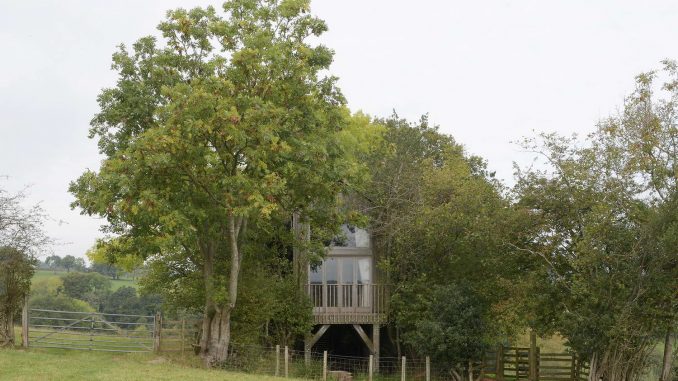 Маленький домик и дерева для отдыха в Англии