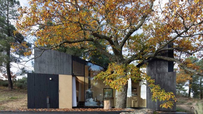 Chestnut House 7
