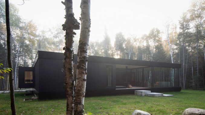 Apple Tree House 7 Чёрный минималистский дом с двориком на лесной поляне в Канаде
