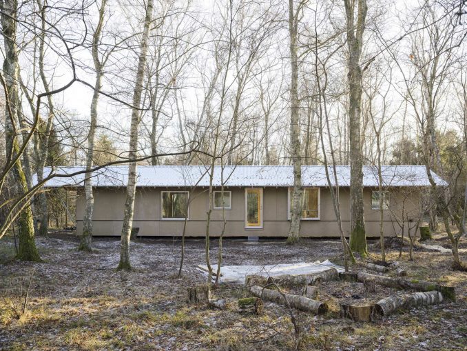 Простой домик среди берёз площадью 58 м2 в Дании 