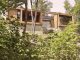 Дом архитектора на склоне с видами на лес в Канаде