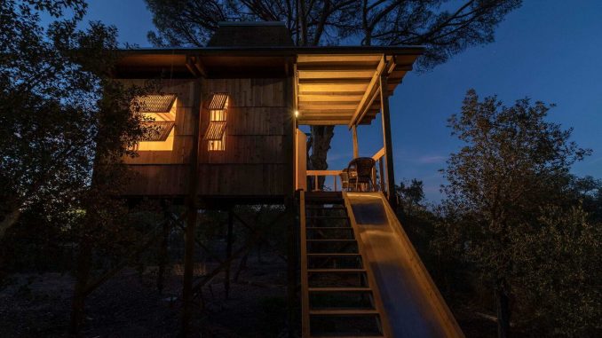 Columba Tree House 8