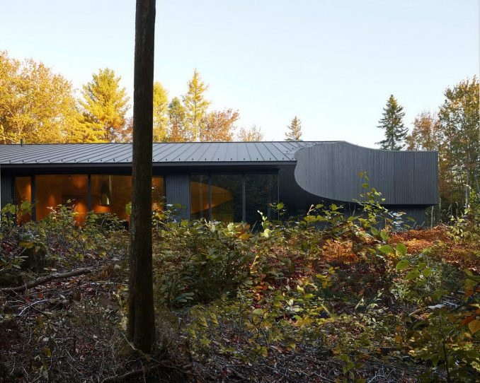 Чёрный дом-студия в канадском лесу 