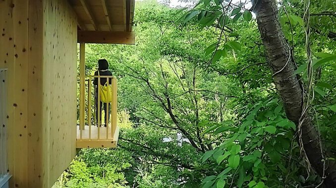 Маленький, но высокий дом на сложном участке площадью 101 м2 в Японии 
