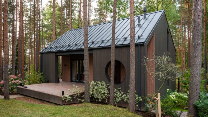 House among the pines 9 Каркасный дом среди сосен для внучки в Ленинградской области