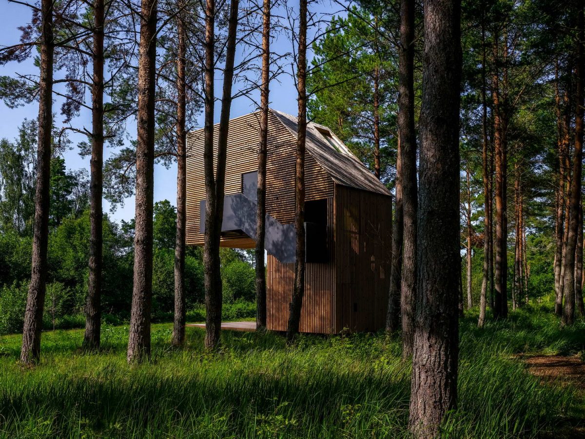 Домик для отдыха в лесу в Эстонии