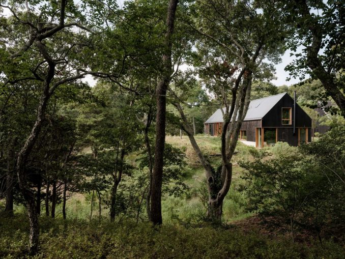 Дом для семейного отдыха в стиле barnhouse в США 