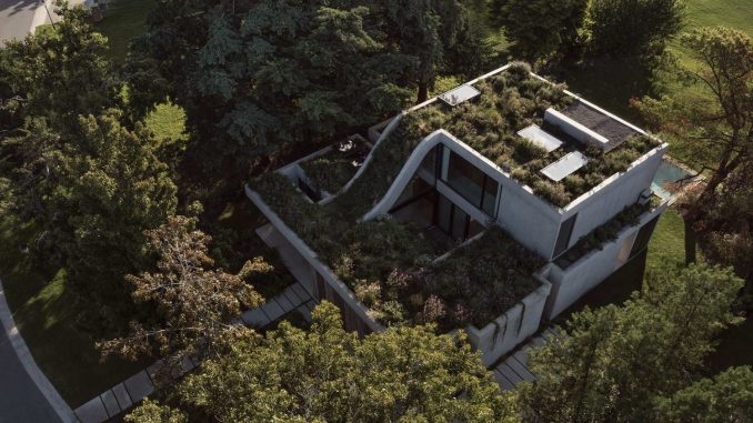 Olivos House 1